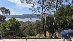 Mooney House – Vegetation Clearing